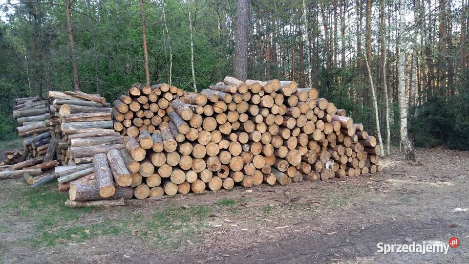 Drewno opałowe opał Sosna w grubych wałkach Łosice