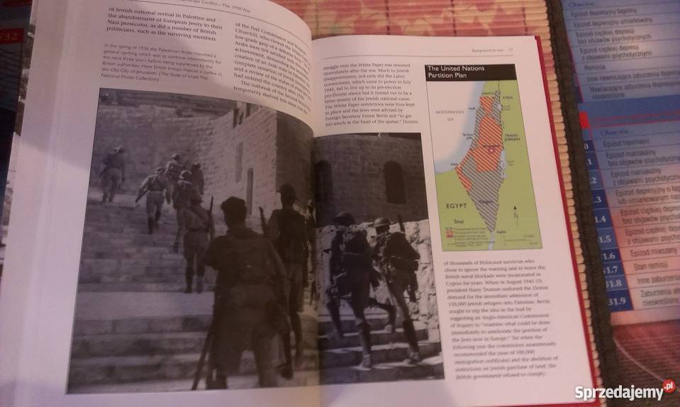 The Arab Israeli Conflict The 1948 War Efraim Międzyrzec Podlaski sprzedam