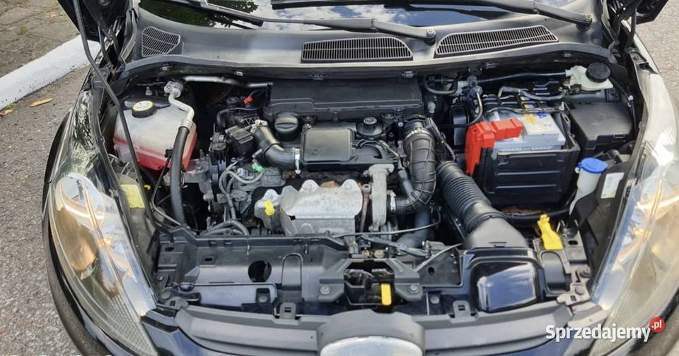 Ford Fiesta 14 TDCI Silver X Mrągowo