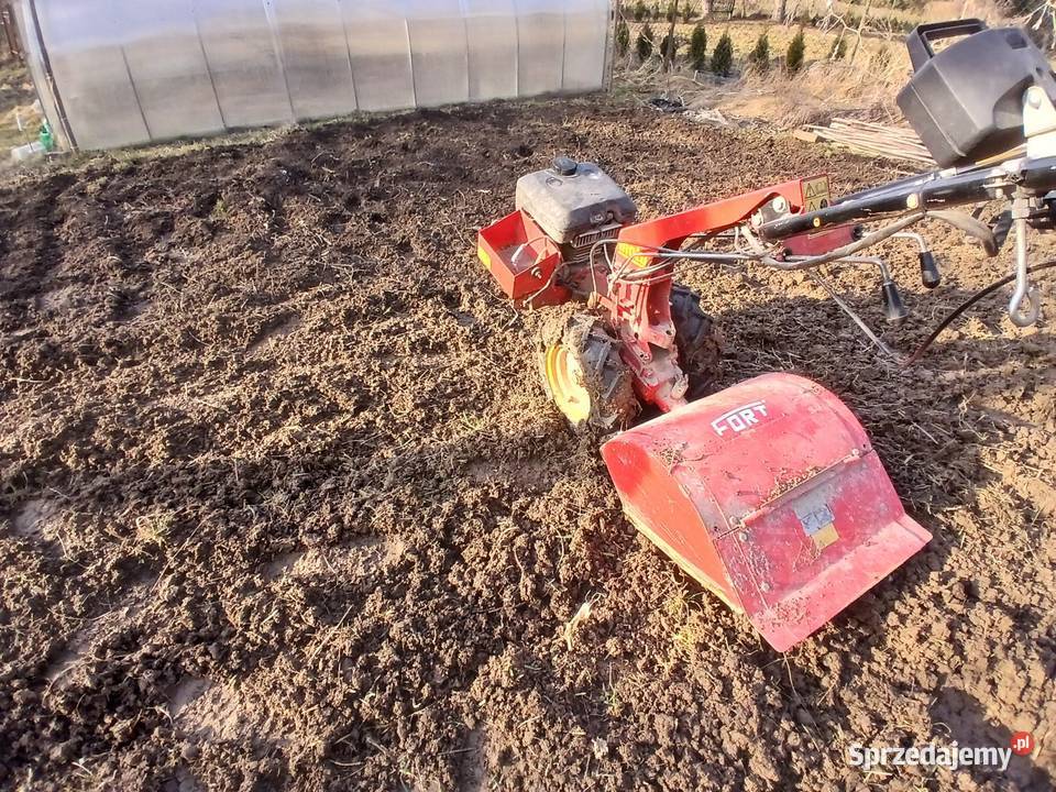 Glebogryzarka Wycinka drzewi rębak działki ROD Lublin