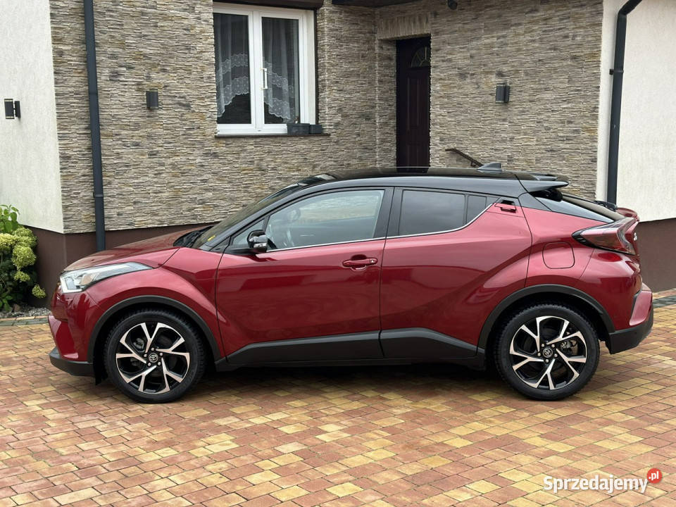 Toyota CHR nieuszkodzony Sadlno