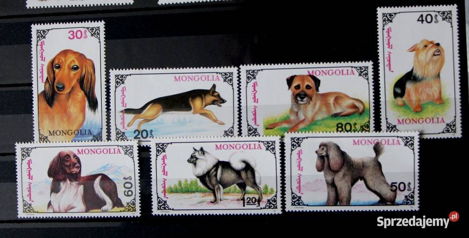 Mongolia psy 3 Antyki, Sztuka, Kolekcje Oborniki