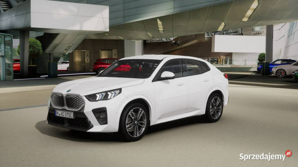 BMW iX2 iX2 eDrive20 Dostępne ręki Łódź