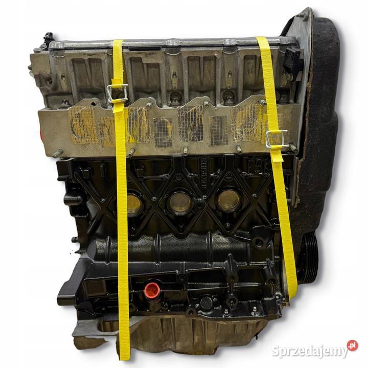 SILNIK REGENERACJI Opel Vivaro 19 DCI CDTI 101 lubelskie Chełm