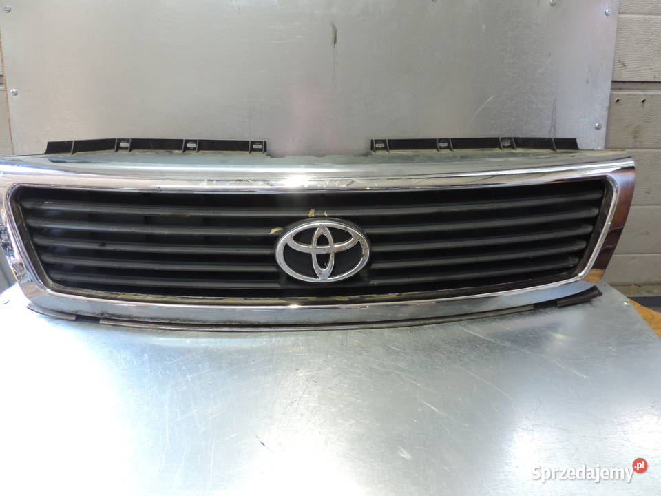 TATA SAFARI ATRAPA GRILL małopolskie Nowy Sącz