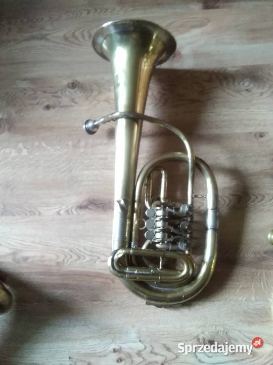 Stary Sakshorn Altowy małopolskie sprzedam