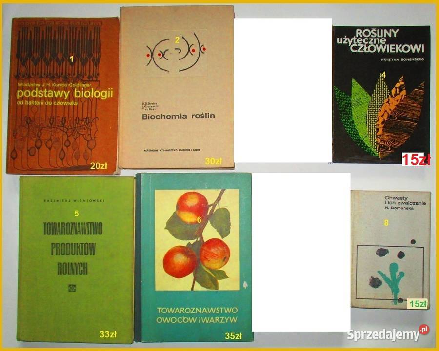 Rośliny oleisteUprawa lnu włóknistego rolnictwo rolnictwo, nauki rolnicze Łódź