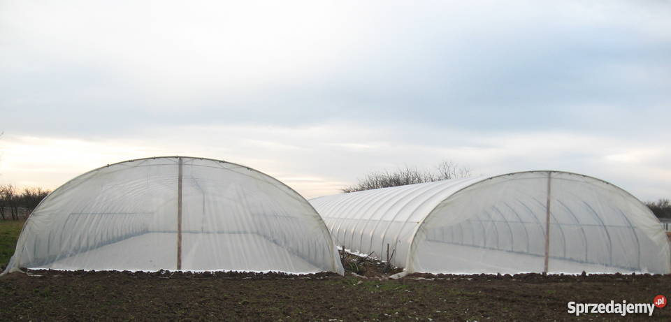 Tunele Foliowe mazowieckie Młodynie Dolne