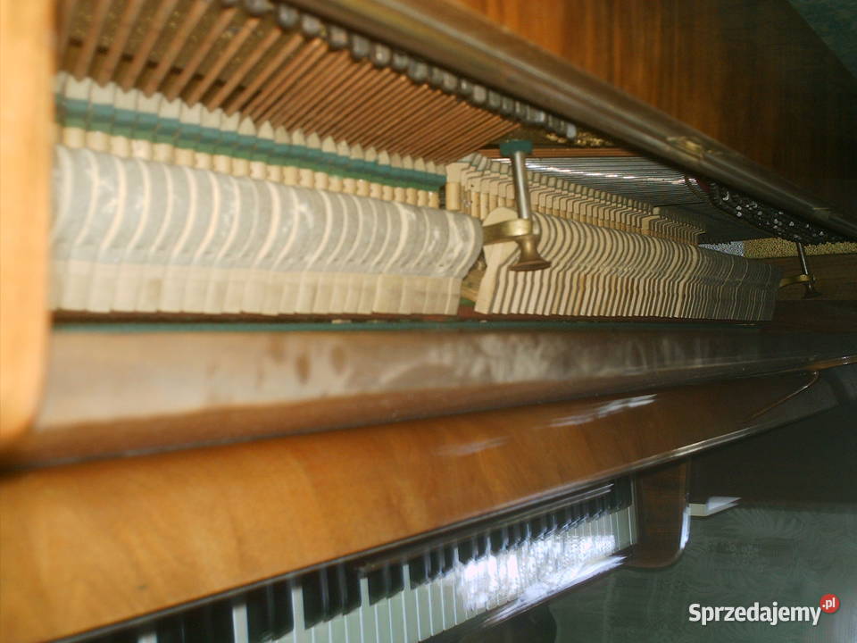 Pianino Calisia M105 Chodzież