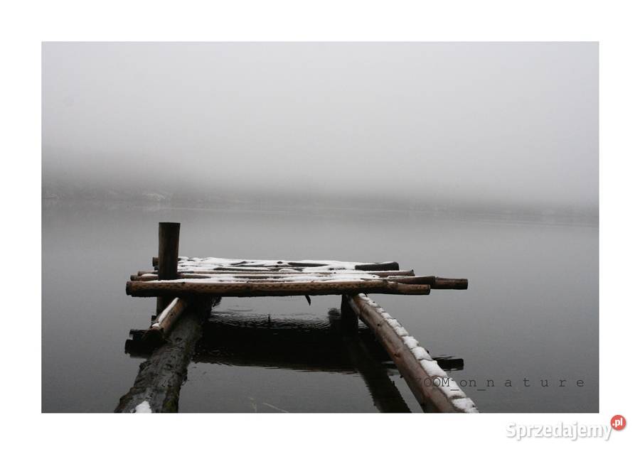 ZDJĘCIA przyrodnicze czI Pozostałe