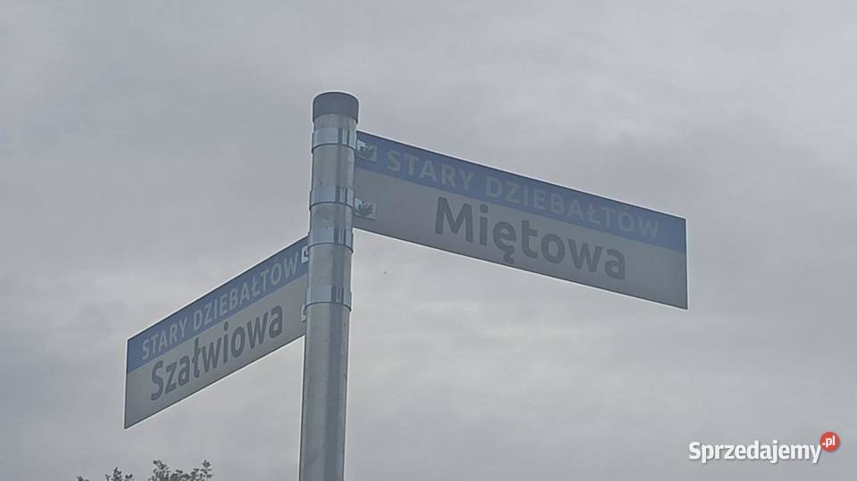 Dom z zabudowaniami gospodarczymi w Dziebałtowie Stary Dziebałtów