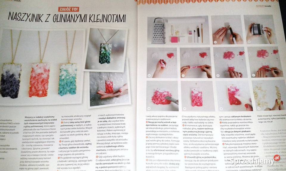 Mollie potrafi 2 14 2016 lubelskie Chełm