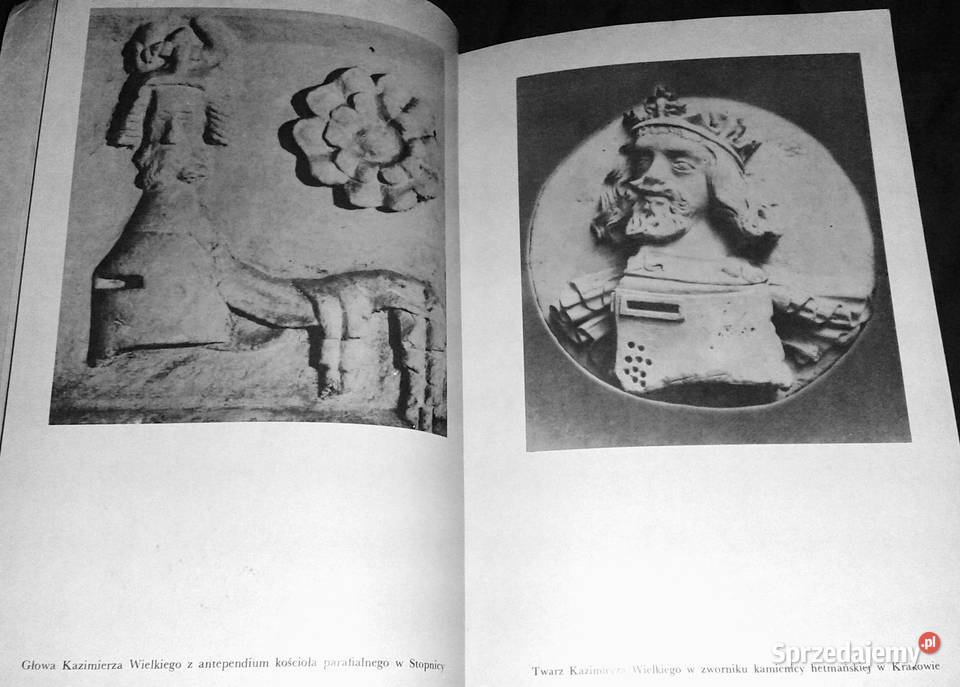 Kazimierz Wielki Jerzy Wyrozumski Chełm