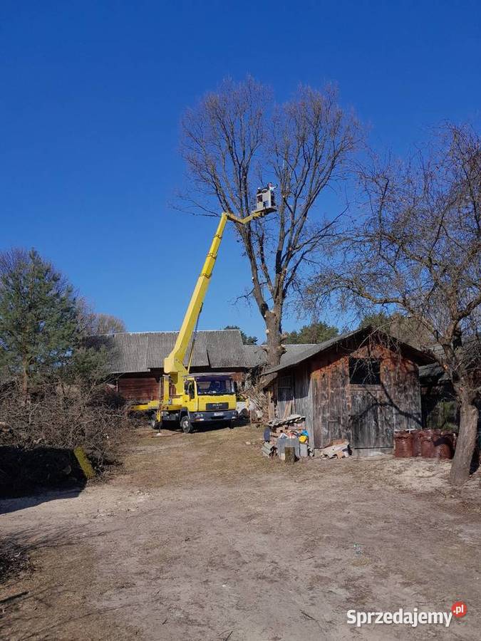 Wycinka drzew Tomaszów Lubelski