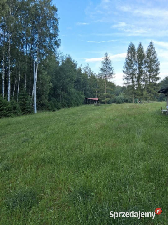 Działka budowlana lesie na sprzedaż 800m2 12 Kranów