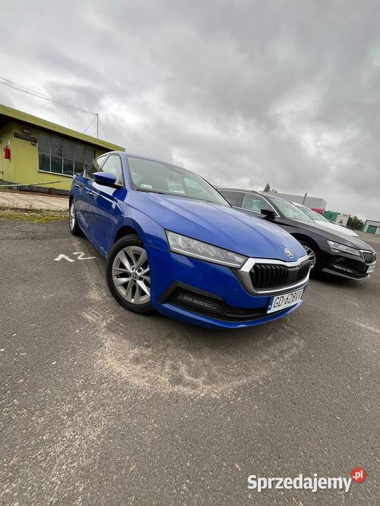 Skoda Octavia IV 20 TDI Ambition DSG Siemianowice Śląskie sprzedam