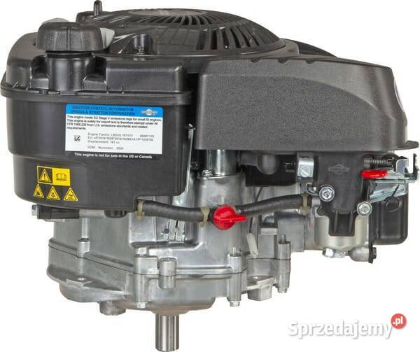 Silnik wał pionowy 50 750 EX jednocylindrowy Kamionna