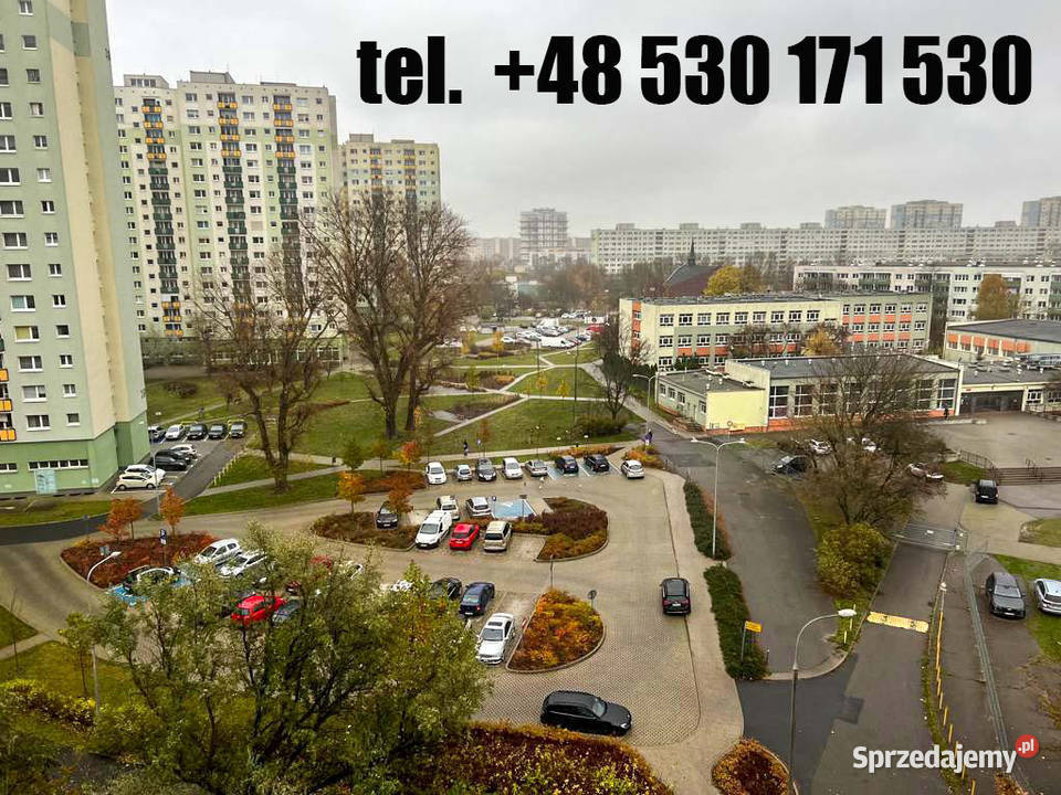Pokój do wynajęcia Poznań Os Lecha szybki dojazd Liczba pokoi 3 Wynajem wielkopolskie