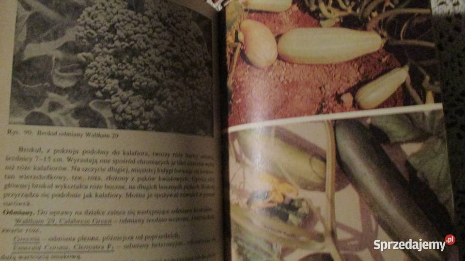 Działka moje hobby działka ogrodnictwo ogród dom i ogród