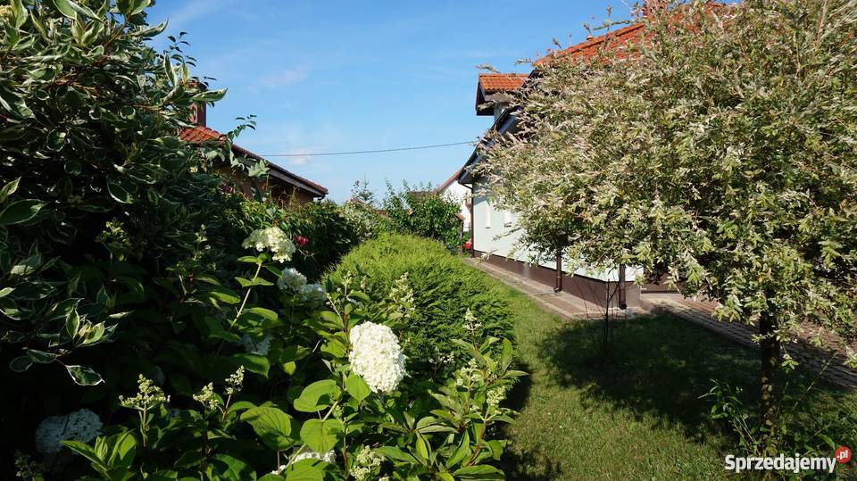 Dom pod Olsztynem 399 1 piętro Giedajty