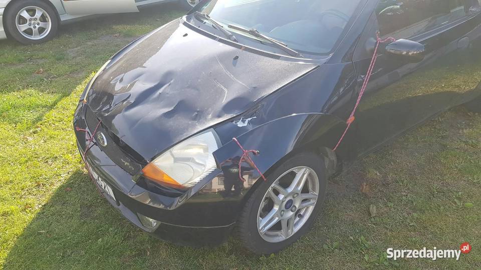 Ford Streetka na dawcę do ogarnięcia Koszalin