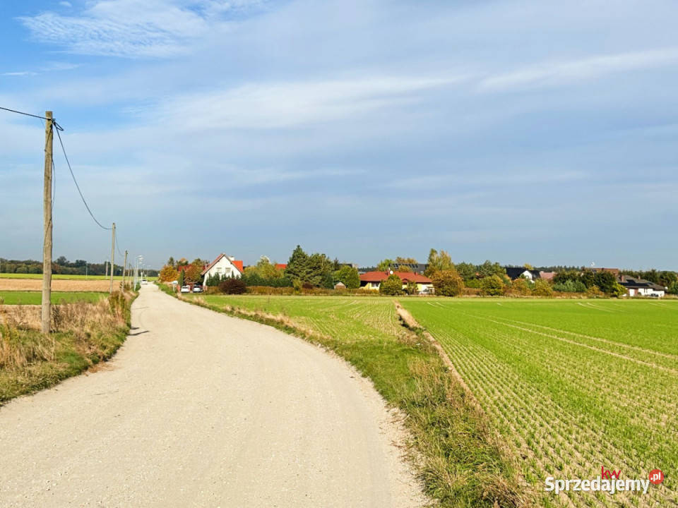 sprzedaży gruntu Czołowo 2980m2