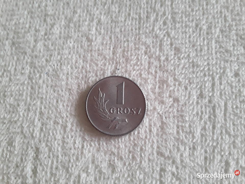 Polska 1 grosz 1949 10 sztuk stan wielkopolskie Poznań