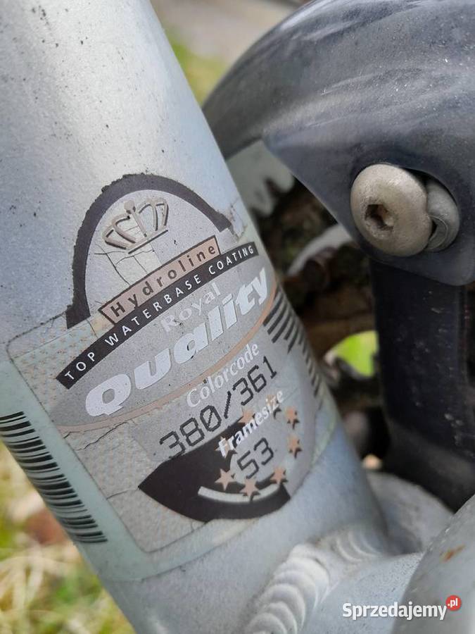 Gazelle Przywieziona z Holandii Korbielów