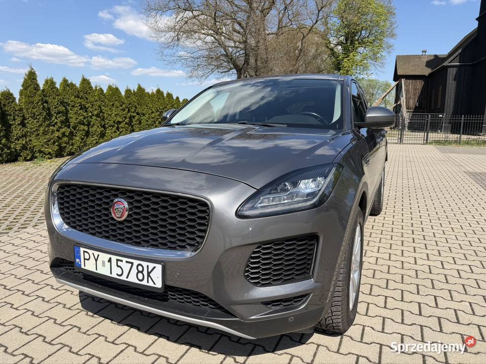 Piękny Jaguar E Pace Śrem