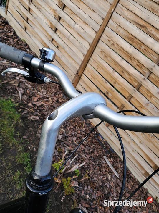 Pegasus Nexus 7Aluminium Rower Miejski Dębica