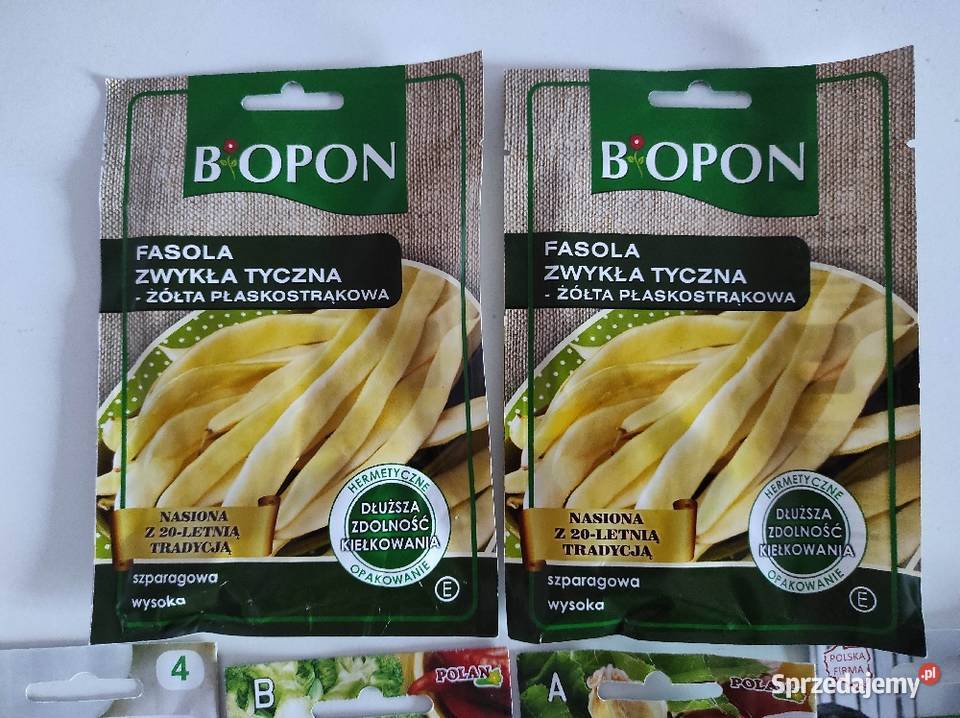Nasiona różne fasola X2 dynia oberżyna brokuł Płock