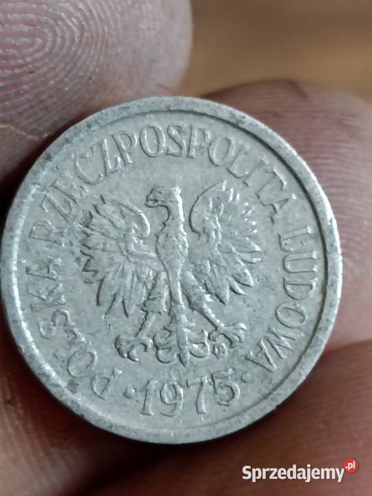 Sprzedam 10 gr 1975r zzm Chełm sprzedam