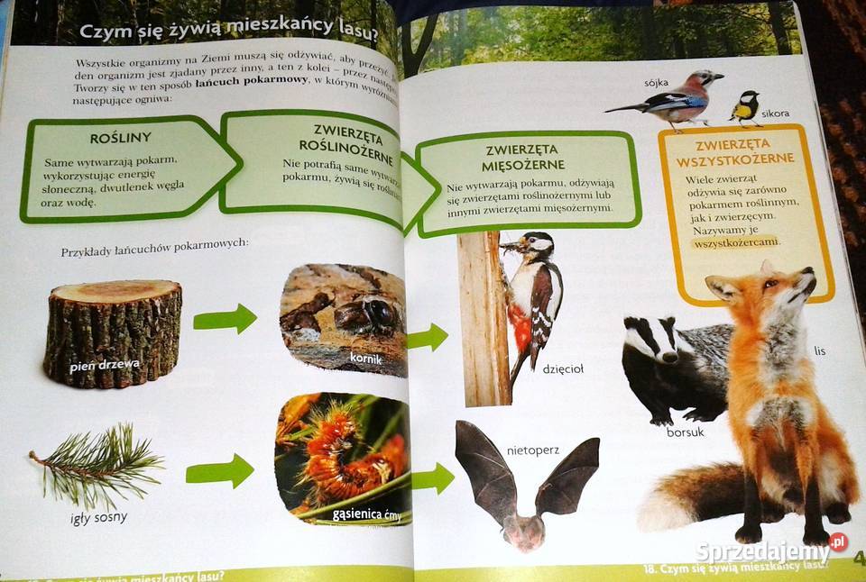 Tropiciele Podręcznik Klasa 3 Część 1 Rok wydania 2018 Chełm