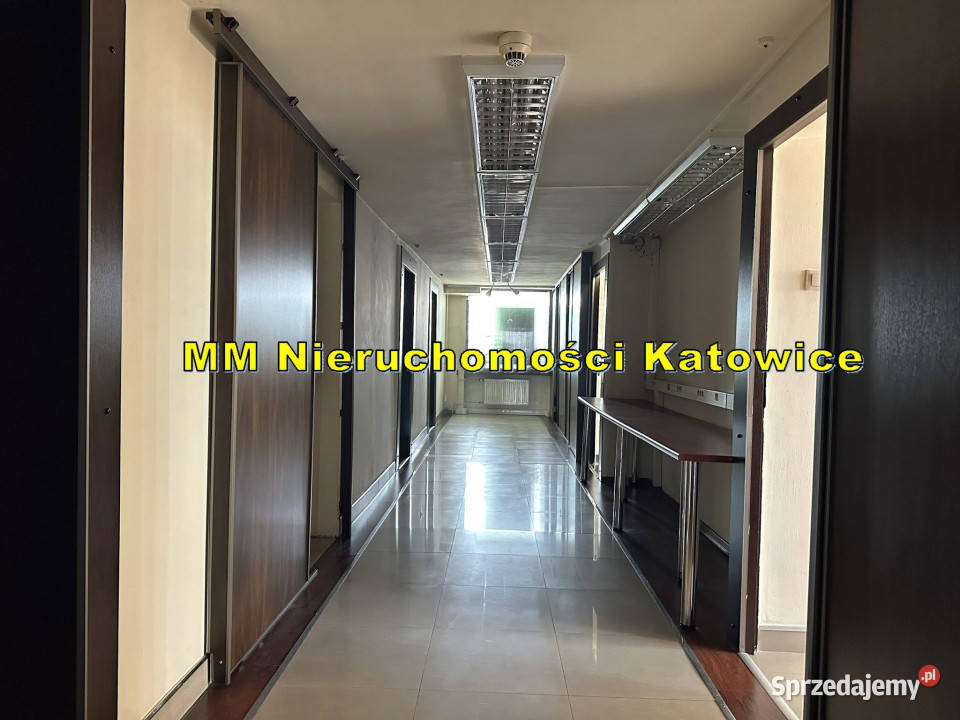 Biura różne powierzchnie do wynajęcia Katowice 240m2