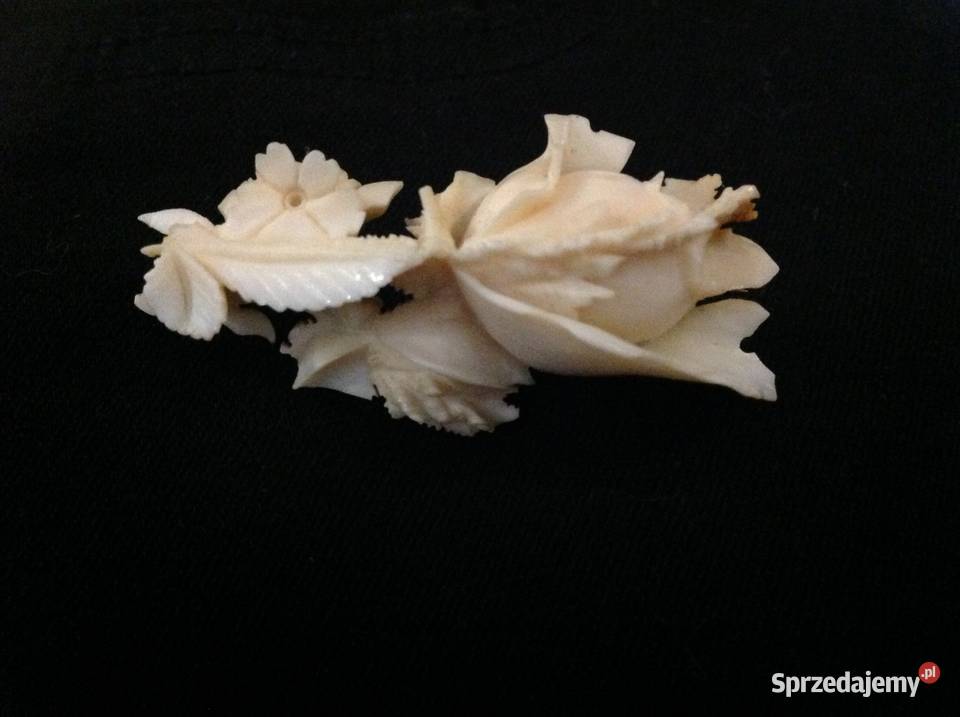 Stara Broszka z Kości Nowa Sól