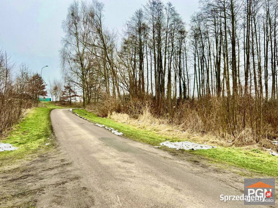 Dom wolnostojący sprzedam 515m2 Golczewo Stary