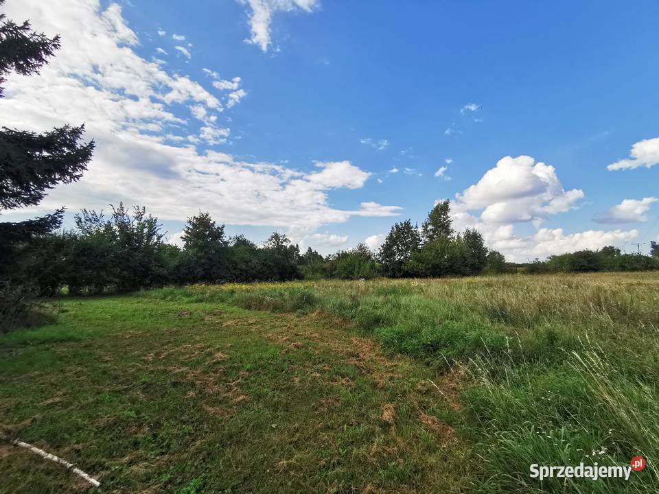 działka budowlana Sandomierz 21 arów spokojna 130zł/m2 świętokrzyskie