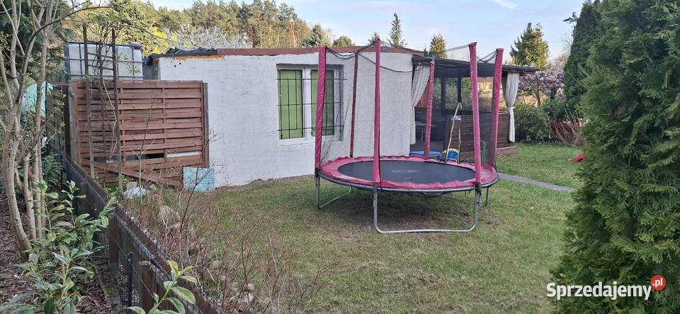 Działka ogrodnicza ROD 35lecia Zielona Góra Sprzedaż lubuskie