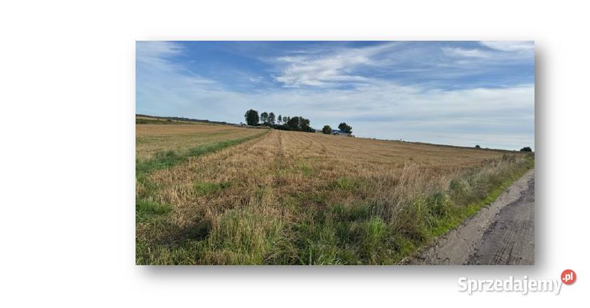 Syndyk sprzeda udziały w nieruchomości w Strzelno