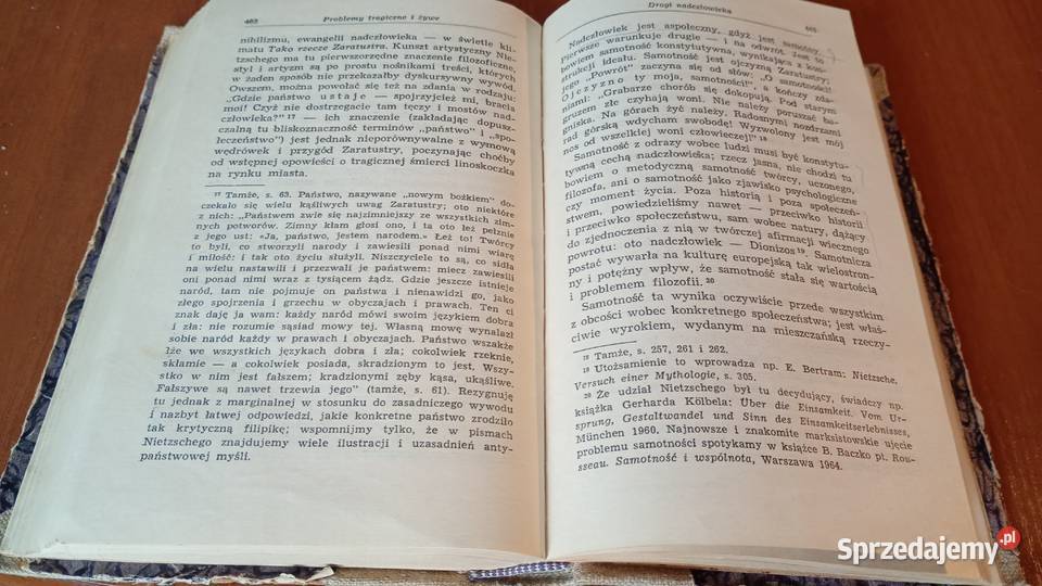 Zmierzch mieszczaństwa immoralizm nihilizm