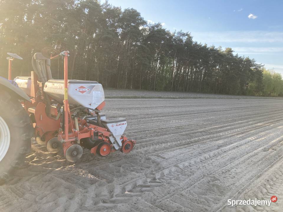Siewnik do kukurydzy kuhn planter 3m talerzowy Różyce sprzedam