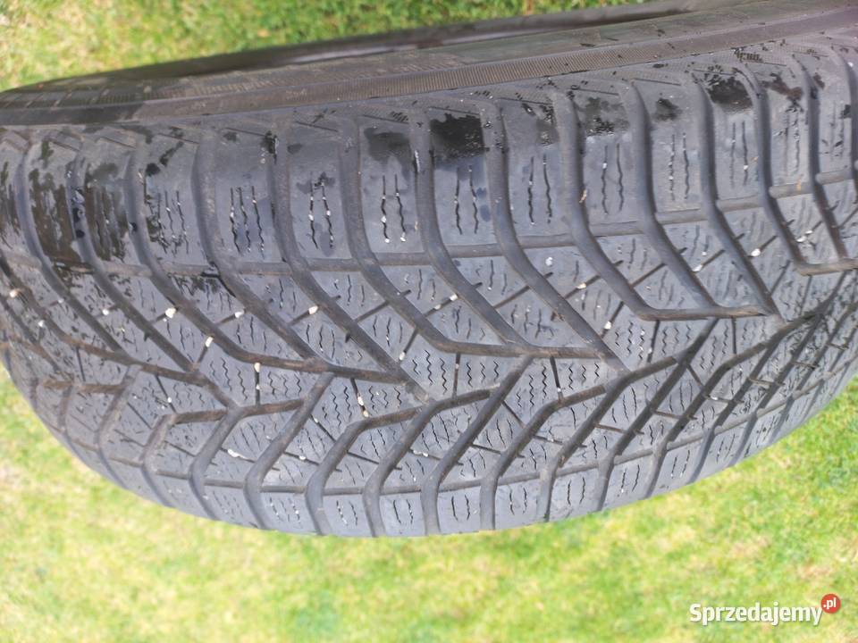 Koła zimowe 21560r16 Śliwnik