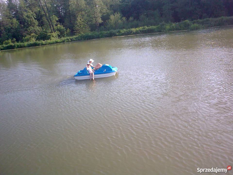 Duża działka ze stawem w okolicach Mławy mały mazowieckie Mława