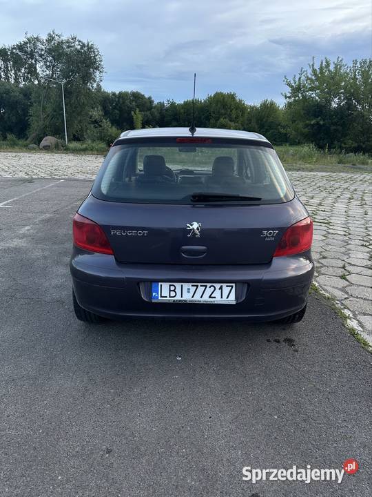 Peugeot 307 20HDI nieuszkodzony Międzyrzec Podlaski