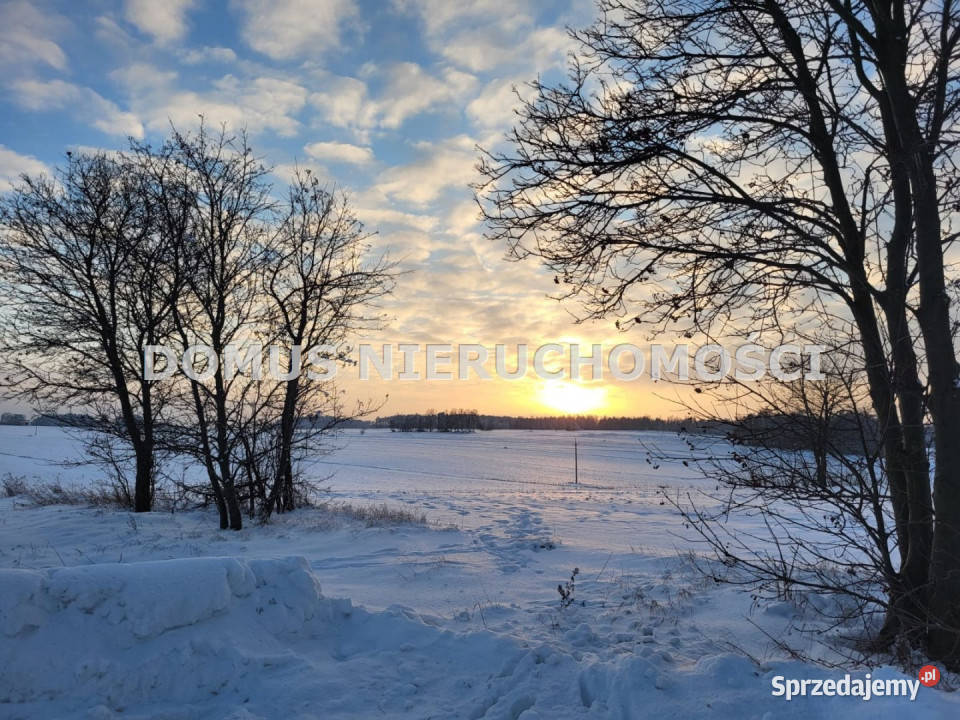 Grunt na sprzedaż Rogów 1500m2 sprzedam