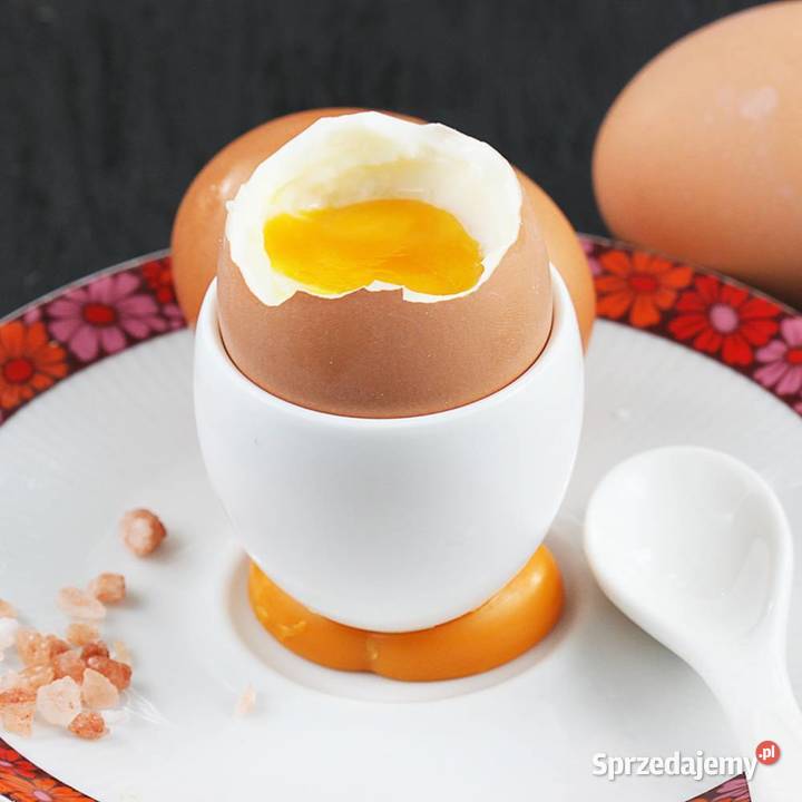 Jajka wiejskie Krzewiny