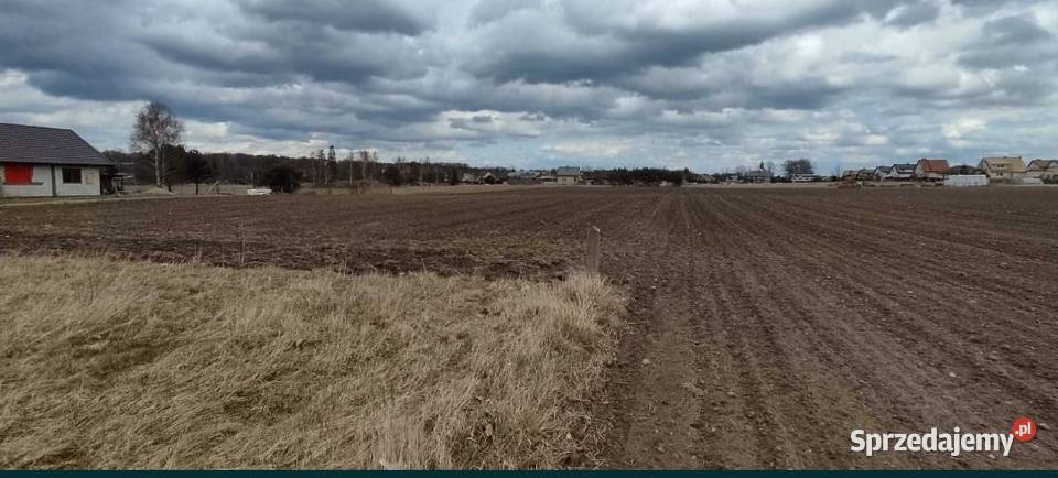 Sprzedam działki budowlane Sprzedaż
