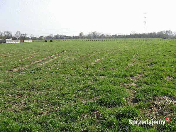 działka budowlanagmOświęcim 49zł/m2 małopolskie Pławy sprzedam