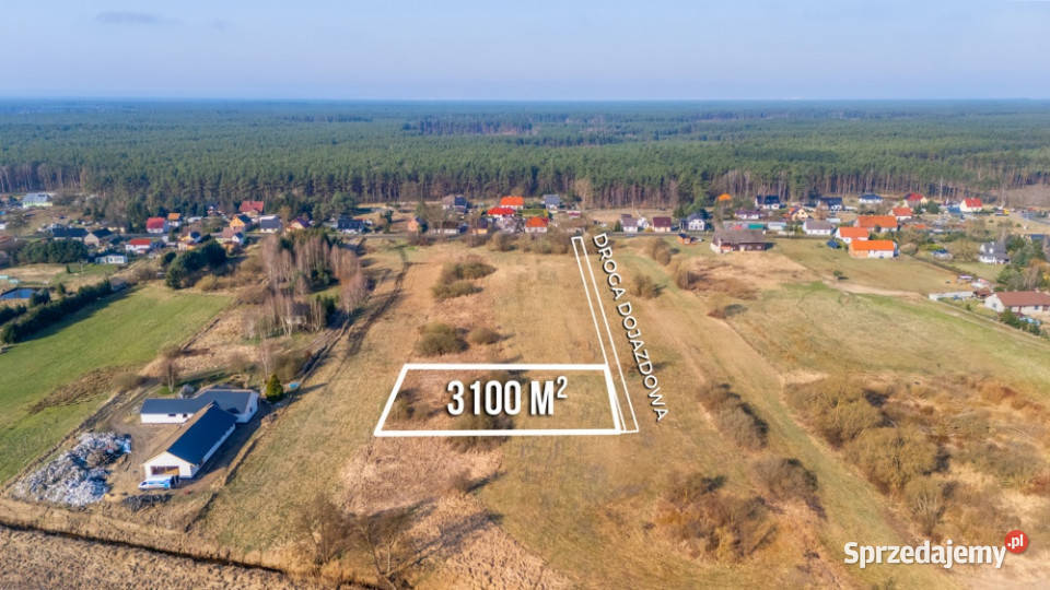 Działka w zielonej okolicy pod Szczecinem z Sowno