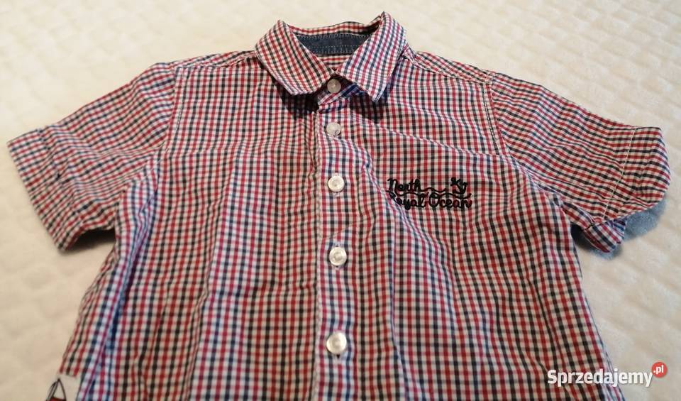 Koszula rozpinana w kratkę krótki rękaw 9298 Czeladź sprzedam